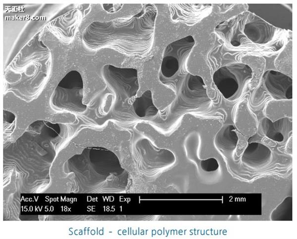 光固化3D打印机又上新台阶 打印质量媲美注塑成型
光固化3d打印机原理,光固化3d打印机,光固化3d打印机教程,光固化3d打印机多少钱,光固化3d打印机技术领域,光固化3d打印机价格区间