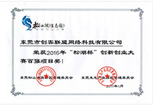 松湖杯创新创业大赛百强项目奖