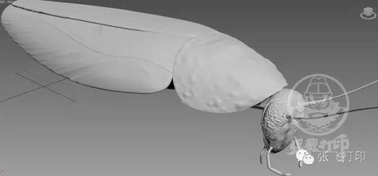 3D打印蟑螂小强诞生记(超精细) 妹纸胆小也可入
3D打印蟑螂,3D打印小强,3D打印技术,3D打印服务,3D打印平台,e键打印