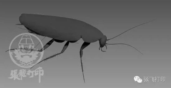 3D打印蟑螂小强诞生记(超精细) 妹纸胆小也可入
3D打印蟑螂,3D打印小强,3D打印技术,3D打印服务,3D打印平台,e键打印