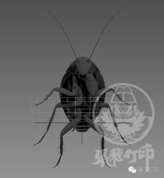 3D打印蟑螂小强诞生记(超精细) 妹纸胆小也可入
3D打印蟑螂,3D打印小强,3D打印技术,3D打印服务,3D打印平台,e键打印