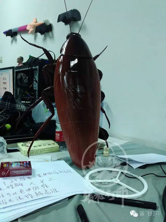 3D打印蟑螂小强诞生记(超精细) 妹纸胆小也可入
3D打印蟑螂,3D打印小强,3D打印技术,3D打印服务,3D打印平台,e键打印