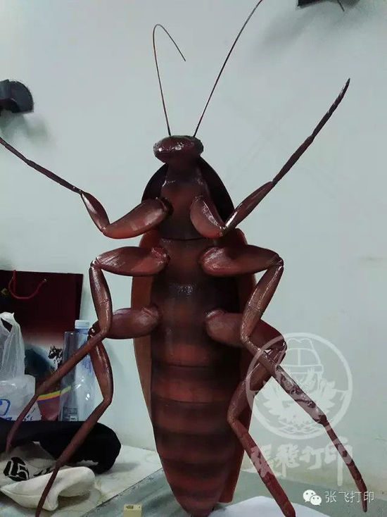 3D打印蟑螂小强诞生记(超精细) 妹纸胆小也可入
3D打印蟑螂,3D打印小强,3D打印技术,3D打印服务,3D打印平台,e键打印