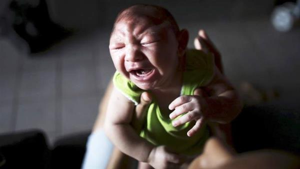 科学家攻克Zika病毒 高中生携3D打印来帮忙

Zika病毒,3D打印医疗行业,3D打印材料价格,3D打印技术,3D打印材料,3D打印成本,3D打印价格