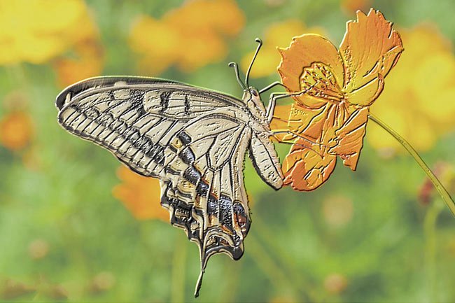 3D打印机小弟2.5D打印机 用来打印盲文效果嗷嗷的