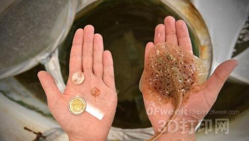 近期这四大3D打印产业惊人的成果有望改变你的生活.jpg 近期这四大3D打印产业惊人的成果有望改变你的生活.jpg