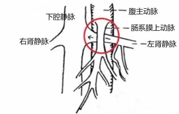 第四军医大学精彩分享个性化医疗3D打印的实战案例与研究成果