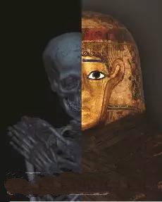 3D打印技术助历史学家剖析木乃伊"结构"_e键打印服务平台 3D打印技术助历史学家剖析木乃伊"结构"_e键打印服务平台