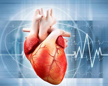 3d打印应用案例:3D打印人体器官的那些事儿 3d打印应用案例:3D打印人体器官的那些事儿