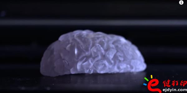 生物3d打印,生物3d打印技术,生物3d打印技术,生物3d打印材料,生物3d打印发展,3D打印心脏,3D打印服务 生物3d打印,生物3d打印技术,生物3d打印技术,生物3d打印材料,生物3d打印发展,3D打印心脏,3D打印服务